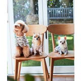 【DOG】レースアップボーダーカットソー | ROPE' PICNIC | 詳細画像14