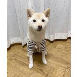 【DOG】レースアップボーダーカットソー | ROPE' PICNIC | 詳細画像16