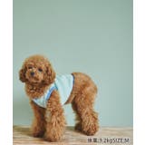 【DOG】リンクコーデ/マルチボーダーノースリーブトップス | ROPE' PICNIC | 詳細画像17