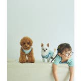 【DOG】リンクコーデ/マルチボーダーノースリーブトップス | ROPE' PICNIC | 詳細画像21