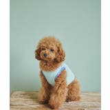 ライトグリーン(33) | 【DOG】リンクコーデ/マルチボーダーノースリーブトップス | ROPE' PICNIC