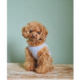 ブルー(44) | 【DOG】リンクコーデ/マルチボーダーノースリーブトップス | ROPE' PICNIC