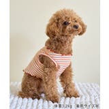 【DOG】マルチメロウボーダートップス/リンクコーデ | ROPE' PICNIC | 詳細画像10 