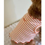 【DOG】マルチメロウボーダートップス/リンクコーデ | ROPE' PICNIC | 詳細画像11 