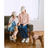 【DOG】マルチメロウボーダートップス/リンクコーデ | ROPE' PICNIC | 詳細画像14 