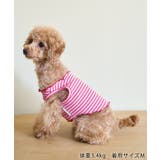 【DOG】マルチメロウボーダートップス/リンクコーデ | ROPE' PICNIC | 詳細画像4 