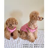 【DOG】マルチメロウボーダートップス/リンクコーデ | ROPE' PICNIC | 詳細画像5 