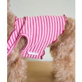 【DOG】マルチメロウボーダートップス/リンクコーデ | ROPE' PICNIC | 詳細画像6 