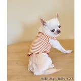【DOG】マルチメロウボーダートップス/リンクコーデ | ROPE' PICNIC | 詳細画像7 