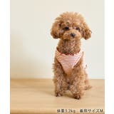 【DOG】マルチメロウボーダートップス/リンクコーデ | ROPE' PICNIC | 詳細画像9 