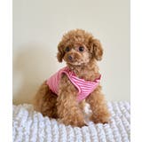 ピンク(63) | 【DOG】マルチメロウボーダートップス/リンクコーデ | ROPE' PICNIC