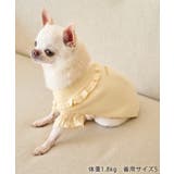 【DOG】袖プリ-ツニットプルオーバー/リンクコーデ | ROPE' PICNIC | 詳細画像4