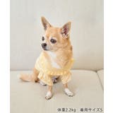 【DOG】袖プリ-ツニットプルオーバー/リンクコーデ | ROPE' PICNIC | 詳細画像5