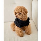 ブラック(01) | 【DOG】袖プリ-ツニットプルオーバー/リンクコーデ | ROPE' PICNIC