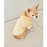 クリーム(83) | 【DOG】袖プリ-ツニットプルオーバー/リンクコーデ | ROPE' PICNIC