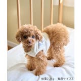 【DOG】クロップドロゴスウェット/リンクコーデ | ROPE' PICNIC | 詳細画像2 