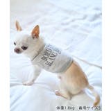 【DOG】クロップドロゴスウェット/リンクコーデ | ROPE' PICNIC | 詳細画像4 