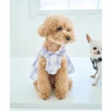 【DOG】ギンガムチェック柄ワンピース | ROPE' PICNIC | 詳細画像1 
