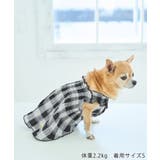 【DOG】ギンガムチェック柄ワンピース | ROPE' PICNIC | 詳細画像2 