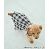 【DOG】ギンガムチェック柄ワンピース | ROPE' PICNIC | 詳細画像3 