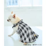 【DOG】ギンガムチェック柄ワンピース | ROPE' PICNIC | 詳細画像4 