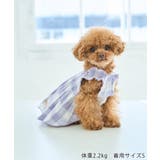 【DOG】ギンガムチェック柄ワンピース | ROPE' PICNIC | 詳細画像5 