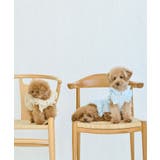 【DOG】ぽこぽこギャザーワンピース | ROPE' PICNIC | 詳細画像10 