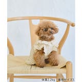 【DOG】ぽこぽこギャザーワンピース | ROPE' PICNIC | 詳細画像2 