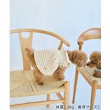 【DOG】ぽこぽこギャザーワンピース | ROPE' PICNIC | 詳細画像3 