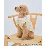 【DOG】ぽこぽこギャザーワンピース | ROPE' PICNIC | 詳細画像4 