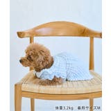 【DOG】ぽこぽこギャザーワンピース | ROPE' PICNIC | 詳細画像5 