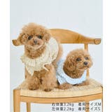 【DOG】ぽこぽこギャザーワンピース | ROPE' PICNIC | 詳細画像9 