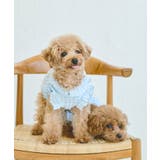 サックス(48) | 【DOG】ぽこぽこギャザーワンピース | ROPE' PICNIC