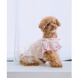 【DOG】キャミチュールドッキングワンピース | ROPE' PICNIC | 詳細画像1 