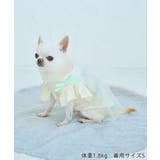 【DOG】キャミチュールドッキングワンピース | ROPE' PICNIC | 詳細画像10 