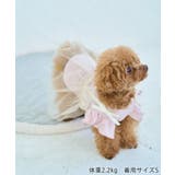 【DOG】キャミチュールドッキングワンピース | ROPE' PICNIC | 詳細画像12 