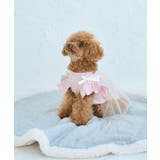 【DOG】キャミチュールドッキングワンピース | ROPE' PICNIC | 詳細画像13 