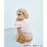 【DOG】キャミチュールドッキングワンピース | ROPE' PICNIC | 詳細画像14 