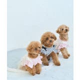 【DOG】キャミチュールドッキングワンピース | ROPE' PICNIC | 詳細画像15 