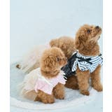 【DOG】キャミチュールドッキングワンピース | ROPE' PICNIC | 詳細画像16 