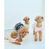 【DOG】キャミチュールドッキングワンピース | ROPE' PICNIC | 詳細画像17 