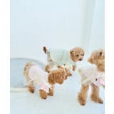 【DOG】キャミチュールドッキングワンピース | ROPE' PICNIC | 詳細画像18 