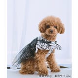 【DOG】キャミチュールドッキングワンピース | ROPE' PICNIC | 詳細画像2 
