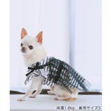 【DOG】キャミチュールドッキングワンピース | ROPE' PICNIC | 詳細画像3 