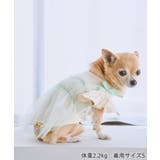 【DOG】キャミチュールドッキングワンピース | ROPE' PICNIC | 詳細画像4 