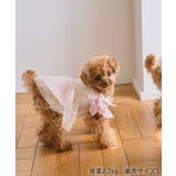 【DOG】キャミチュールドッキングワンピース | ROPE' PICNIC | 詳細画像5 