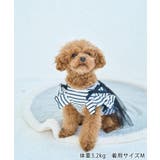 【DOG】キャミチュールドッキングワンピース | ROPE' PICNIC | 詳細画像7 