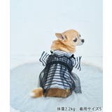 【DOG】キャミチュールドッキングワンピース | ROPE' PICNIC | 詳細画像9 