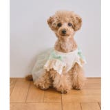 キミドリ(34) | 【DOG】キャミチュールドッキングワンピース | ROPE' PICNIC