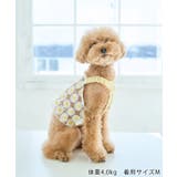 【DOG】フラワーキャミソール | ROPE' PICNIC | 詳細画像3 